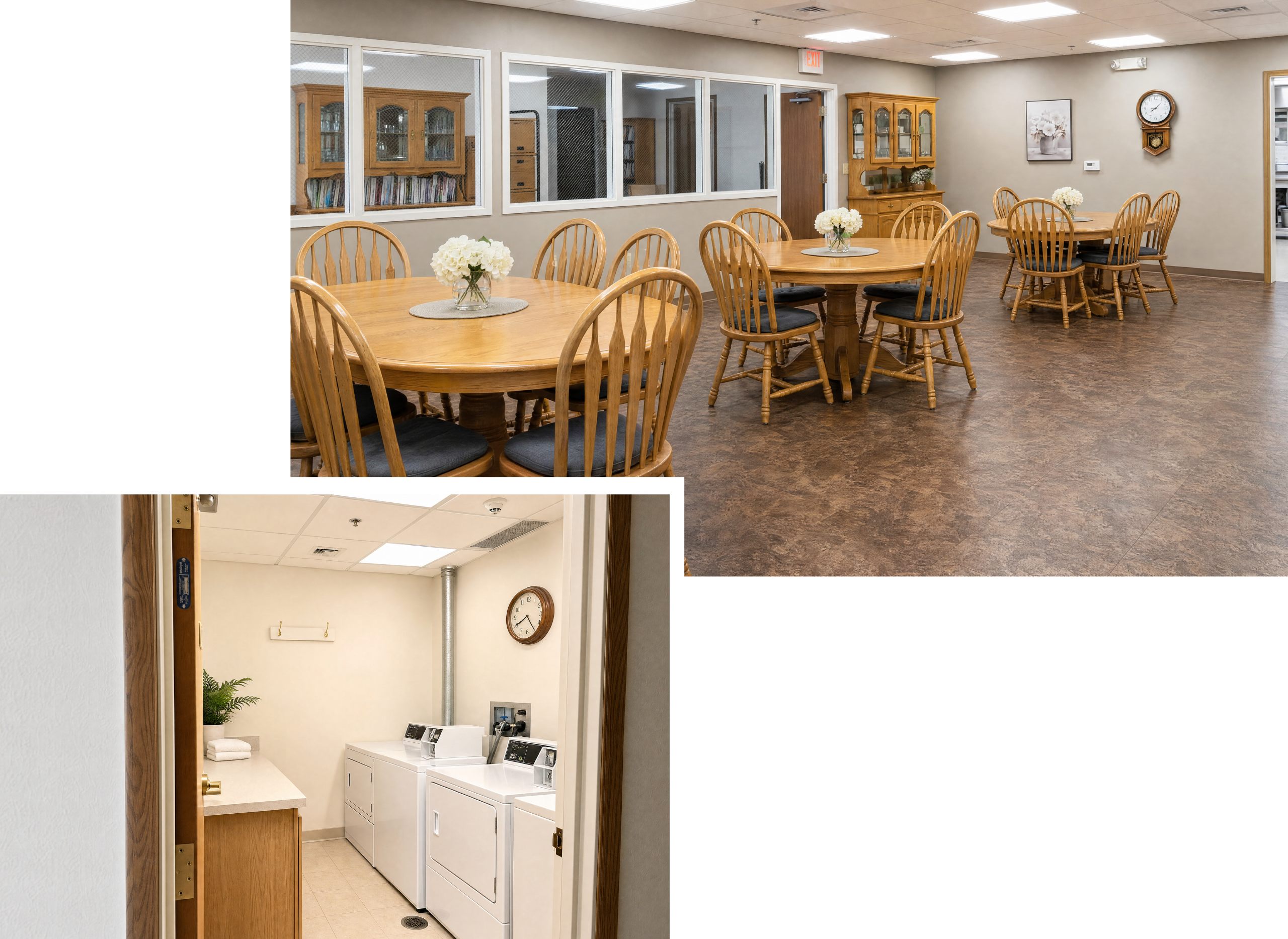 A communal dining area with round wooden tables and chairs, decorated with white flower centerpieces, and a laundry room with a washing machine and dryer, a countertop, a clock, and a potted plant.